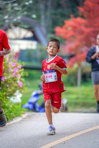 BIB: 8188
                            <button type="button" onclick="openModal(19239347)" class="btn btn-primary btn-sm float-right btn-popup" data-toggle="modal" data-target=".modal-high-quality">
                        <i class="fas fa-shopping-cart"></i> Add to Cart
                    </button>
                                            <button type="button" onclick="isThisMe(19239347, true)" class="btn btn-success btn-sm float-right btn-popup btn-isme hidden" data-toggle="tooltip" data-placement="bottom" title="นี่คือรูปของคุณใช่ไหม คลิกที่นี่เพื่อเอาเข้าอัลบั้ม">
                        <i class="fas fa-plus"></i> Add to album
                    </button>
                    <button type="button" onclick="isThisMe(19239347, false)" class="btn btn-warning btn-sm float-right btn-popup btn-isnotme hidden">
                        <i class="fas fa-ban"></i> Remove from album
                    </button>